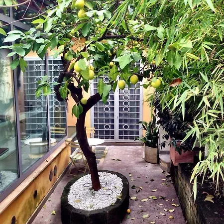 ゲストハウス ルレ クリヴォ ヴァティカーノ ローマ